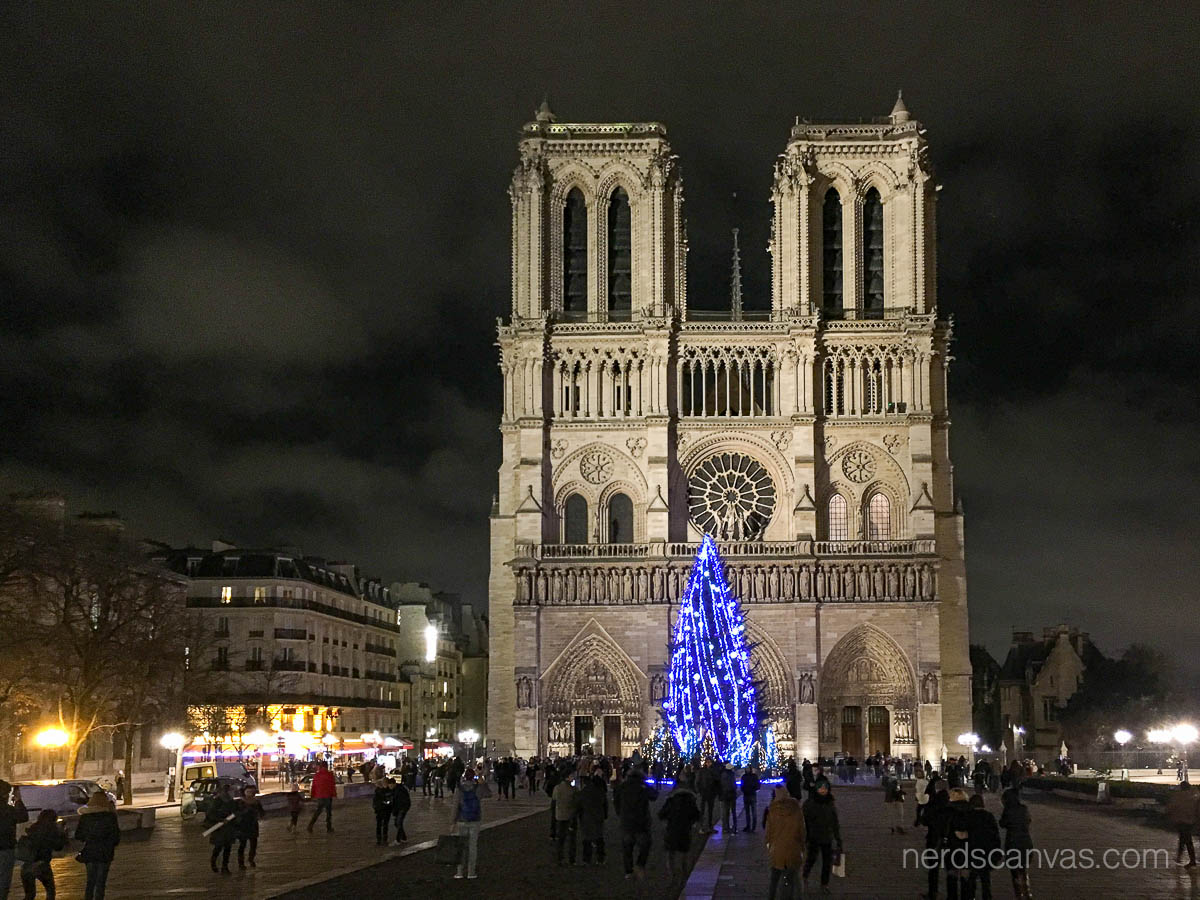 Notre-Dame Christmas tree