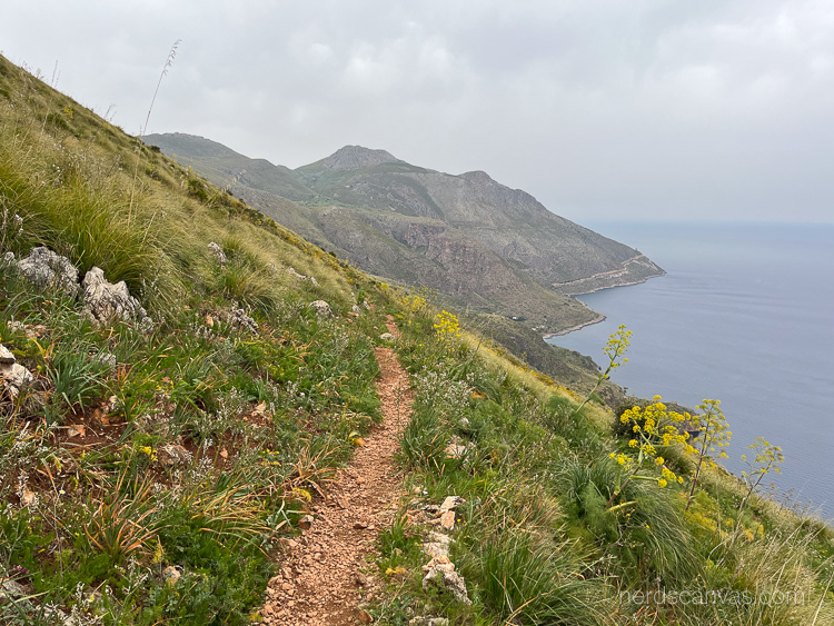 The Orchid path and the Tyrrhenian sea